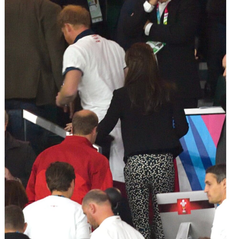 Zara Basic Snow Drop FLORAL Chino Trousers. BROWN Belt  SIZE 2